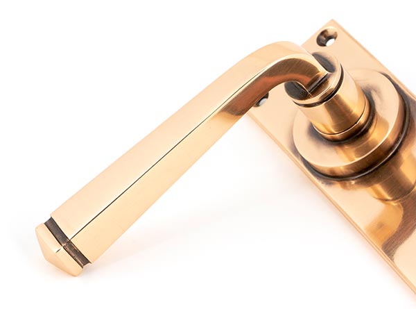 45788_2_S.jpg 45788_2_S.jpg