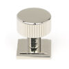 50391_main_S.jpg